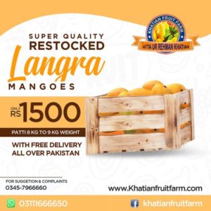 LANGRA MANGOES PATTI 8KG TO 9 KG